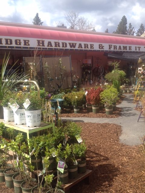 river Ridge Garden pic