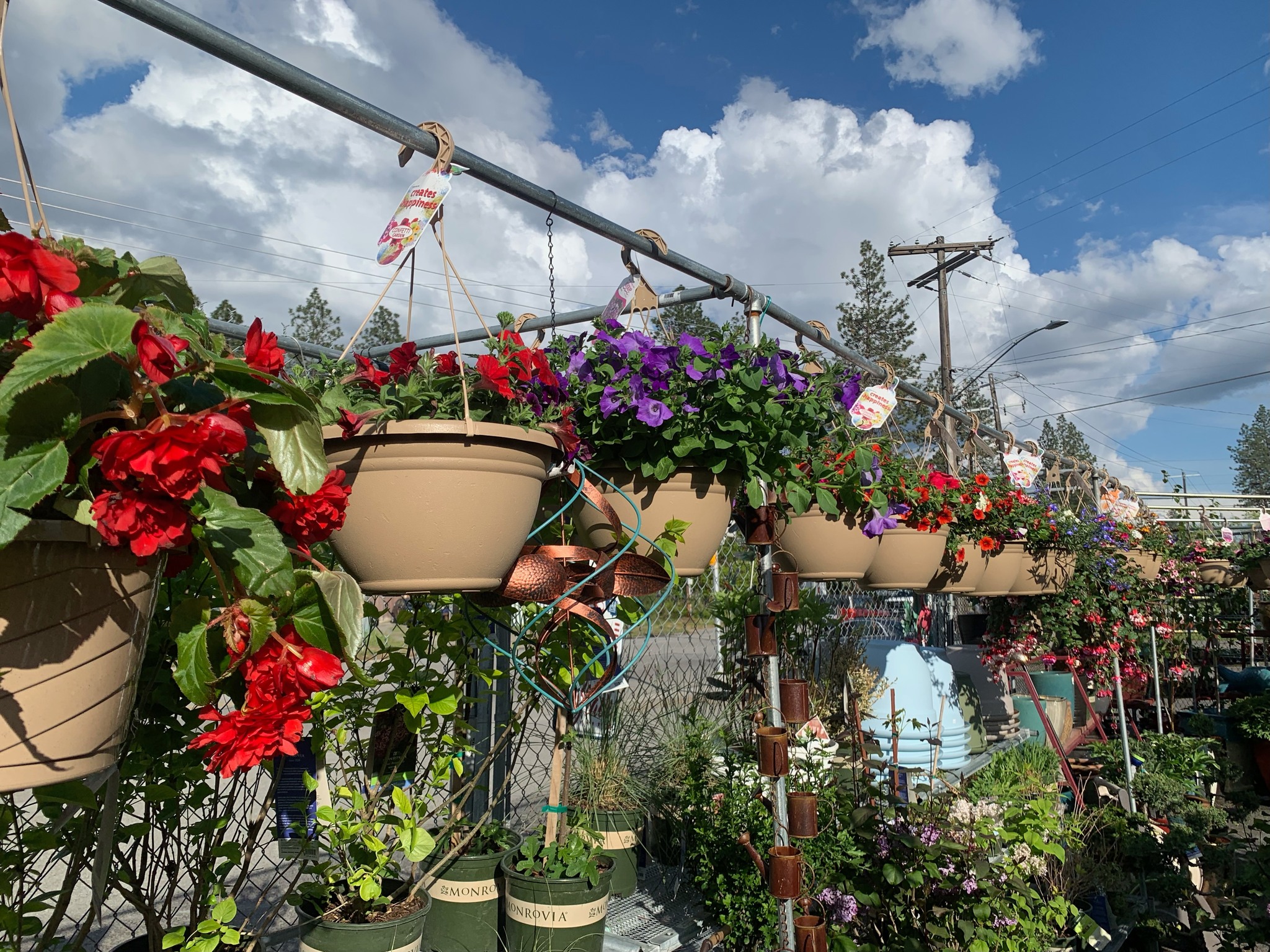 garden center 4